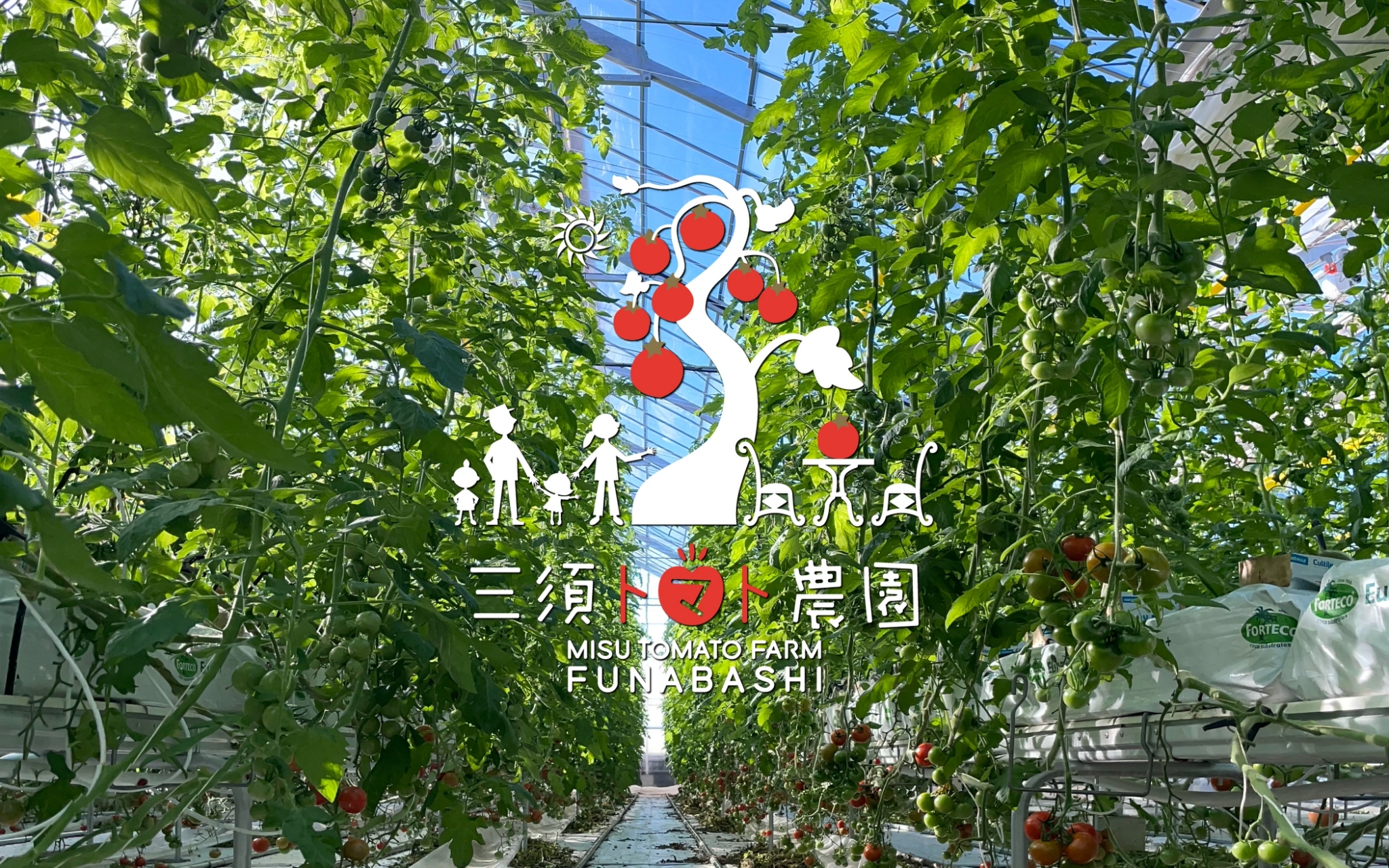 三須トマト農園